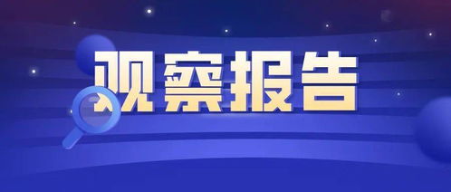 信息技術(shù)應(yīng)用調(diào)研及對法律服務(wù)行業(yè)的影響觀察報告——聚焦信息技術(shù)咨詢服務(wù)