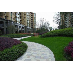 臺(tái)州綠化工程 設(shè)計(jì)、施工與價(jià)格考量