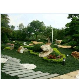 上海綠化工程設計施工全攻略 從新建改造到鮮花綠植養護