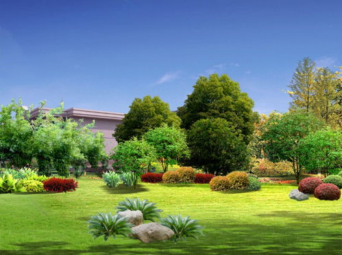 綠色“逆行”筑希望 火神山醫院綠化工程24小時奇跡上線