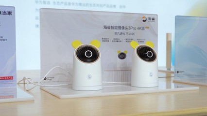 鴻蒙智聯賦能，海雀科技旗艦新品亮相峰會，引領智能看護服務新篇章