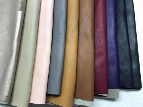 intertextile秋冬面輔料展 內(nèi)衣面膜料版塊興起，功能升級(jí)引領(lǐng)潮流
